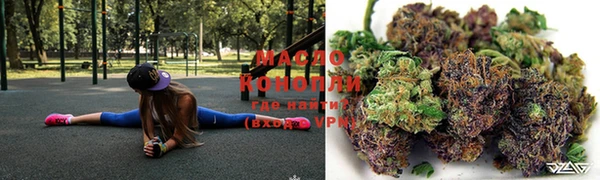 дмт Тобольск