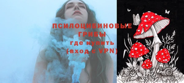 каннабис Белокуриха