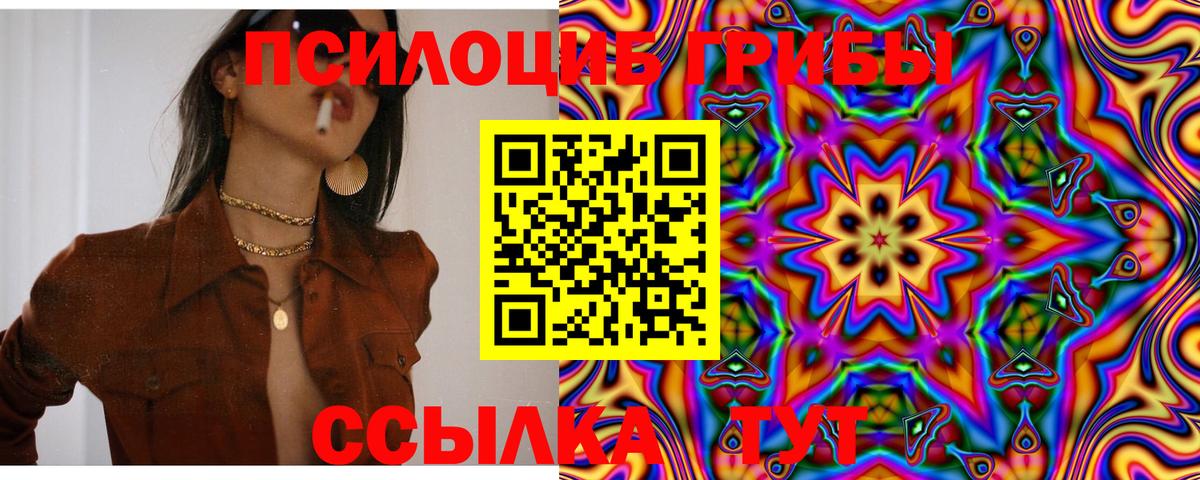 Псилоцибиновые грибы прущие грибы Бутурлиновка