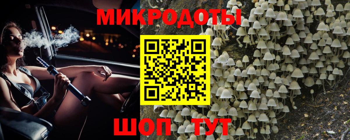 Псилоцибиновые грибы Psilocybe  Псилоцибиновые грибы мухоморы  Бутурлиновка  Вход с VPN 